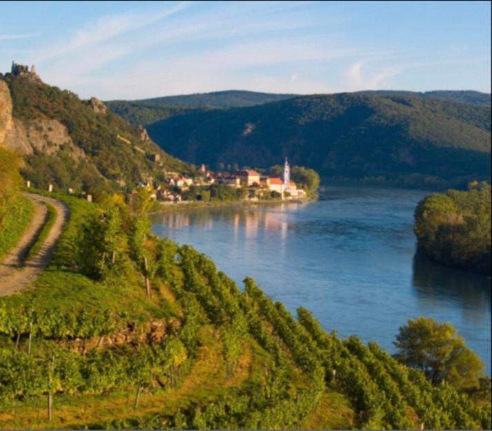 Pension Artstetten Екстериор снимка
